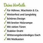Bild 9 von 11