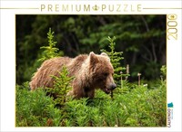 Calvendo Puzzle GrizzlybäR 2000 Teile Puzzle Quer | 2000 Teile Lege-GrößE 90X67C