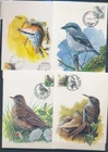 XE59655 Belgium 1990 -2001 Buzin birds maxicards used