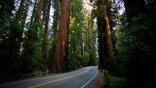 Landscape nature road redwood Custom Gaming Mat Desk