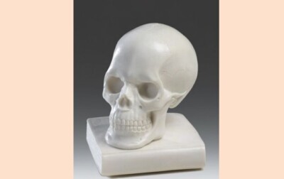 Skulptur Klassische Skull Mit Buch CM 10 IN Pulver, Alabaster Hergestellt Italy
