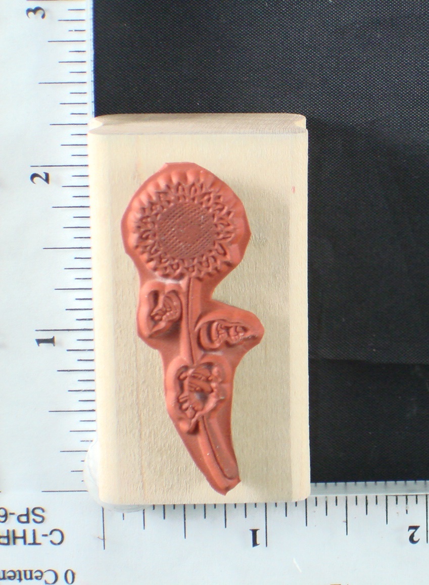 Picture 52 of 54