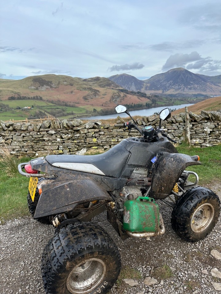 250cc quadzilla | eBay UK
