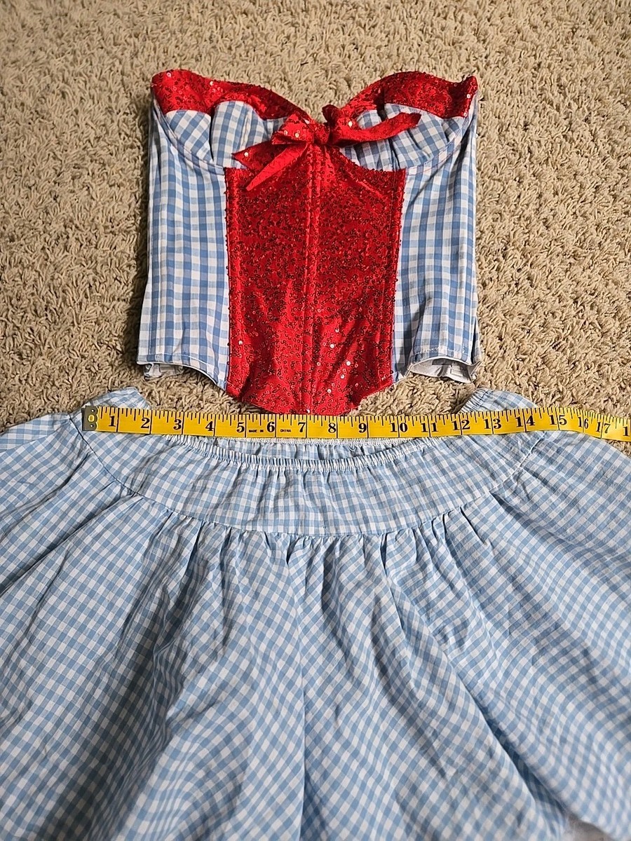 Starline Woman Sz S Wizard Of Oz Sexy Dorothy 2pc Corset Skirt