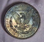 1885 Morgan Silver Dollar, Toning