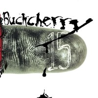 Buckcherry - 15 - Vinyl Record 12 Inch Record - F123Z