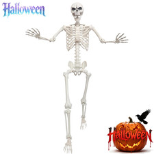 5.4FT Life Size Halloween Skeleton Full Body Movable Joints Indoor Outdoor Decor