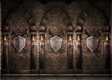 7x5ft Fabric Gothic Castle Photography Backdrop Medieval Stone Wall Arch