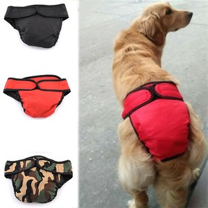 dog shorts