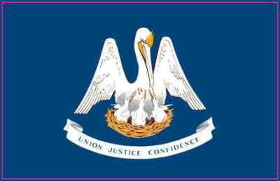 5in x 3in Louisiana State Flag Bumper Sticker Decal Car Window S