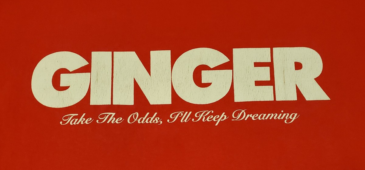 BROCKHAMPTON Records Ginger 2019 Heaven Belongs To You Tour T
