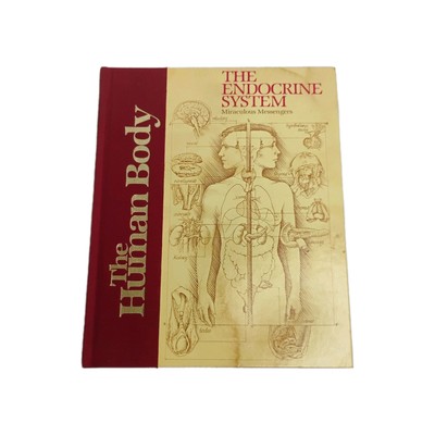 The Endocrine System - The Human Body Series - Homeschool Science Book