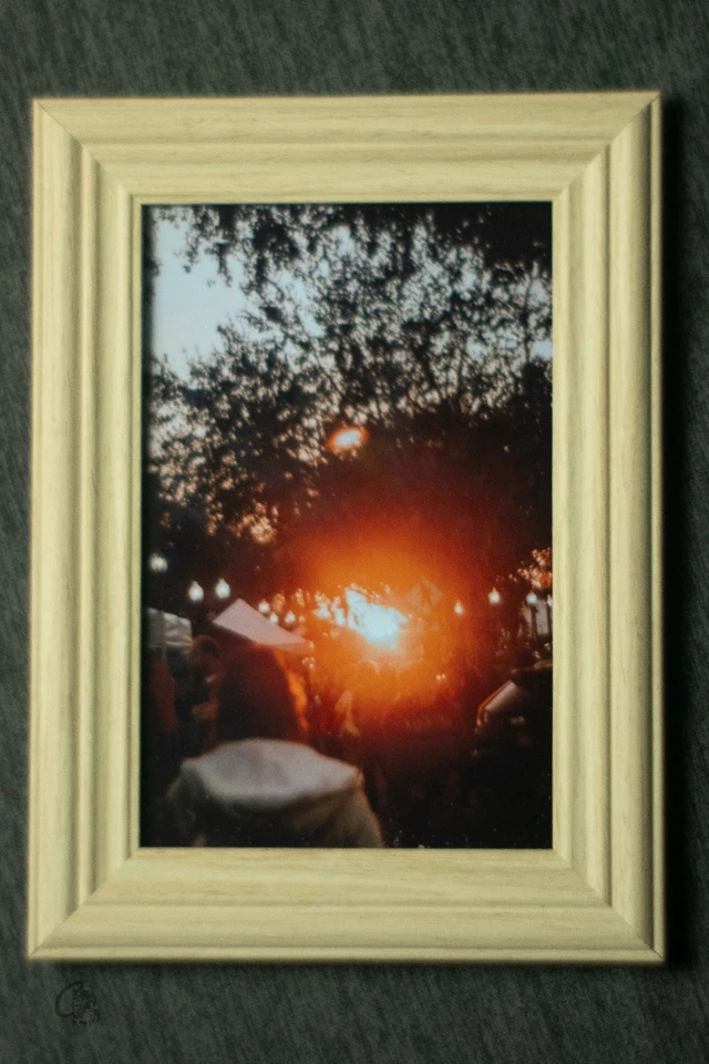 Impresión fotográfica original: Golden Hour Sunset Over Park Pathway & Trees - Enmarcado 4x6 Foto 2 de 2