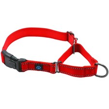 Nylon Martingale Collar - We Donate to a Dog Rescue for Every Collar Sold La...