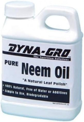 Dyna-Gro NEM-008 Pure Neem Oil Natural Leaf Polish, 8 oz 8 Ounce, White 