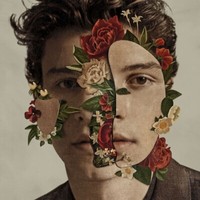 Mendes,Shawn / Shawn Mendes (Vinyl)