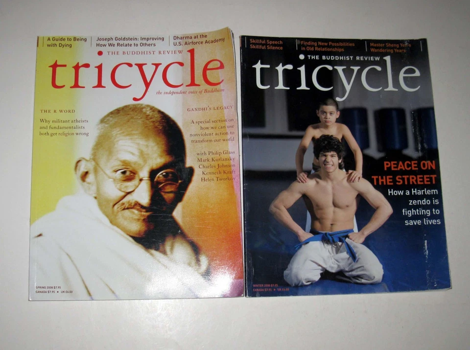 Lot of 6 Tricycle Magazine Issues 2007 2008 2010 2011 2012 Buddhism Buddhist - Image 3 of 4
