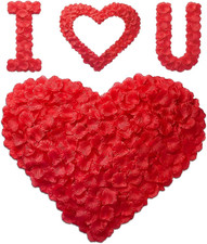 1200 Red Rose Petals Artificial Fake Flower Valentine'S Day Wedding Decorations