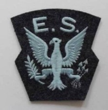 ROYAL AIR FORCE. EAGLE SQUADRON SHOULDER PATCH.