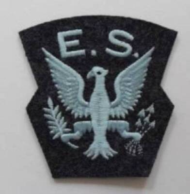 ROYAL AIR FORCE. ADLERGESCHWADER SCHULTERAUFNÄHER.