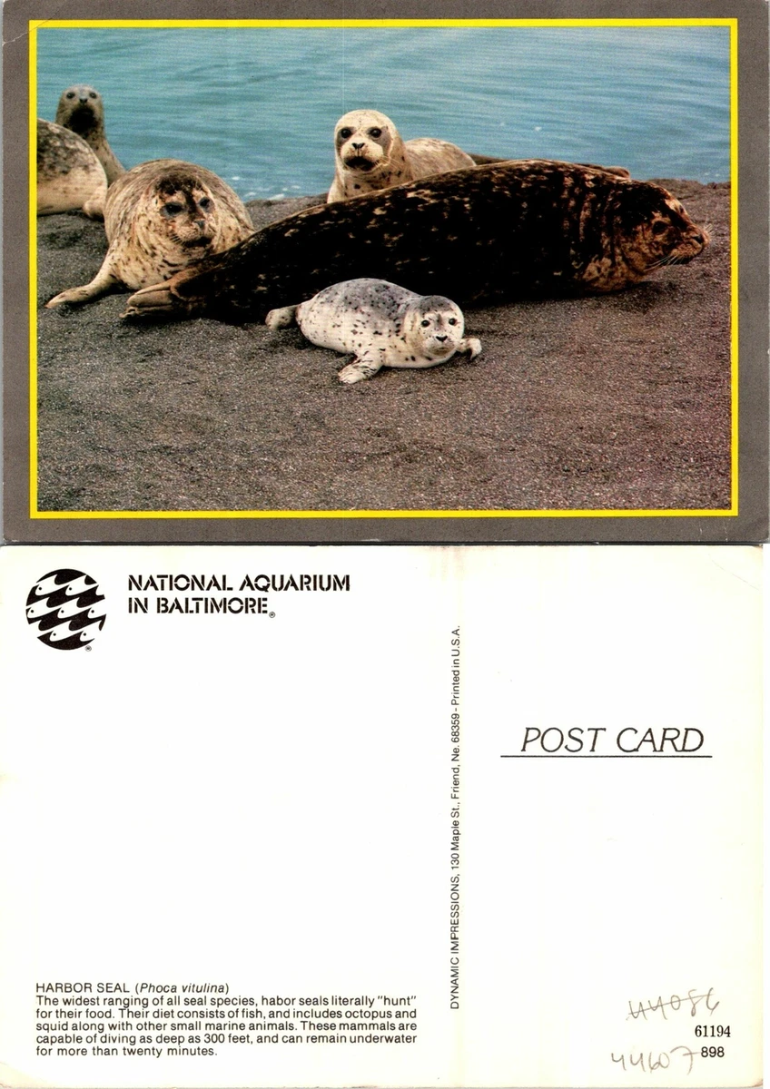 Baltimore Aquarium Discount Coupon