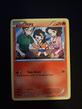 Tepig 25/113 Legendary Treasures Regular on eBay