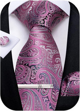 Paisley Ties for Men Silk Necktie and Pocket Square Cufflinks Tie Clip Set Woven