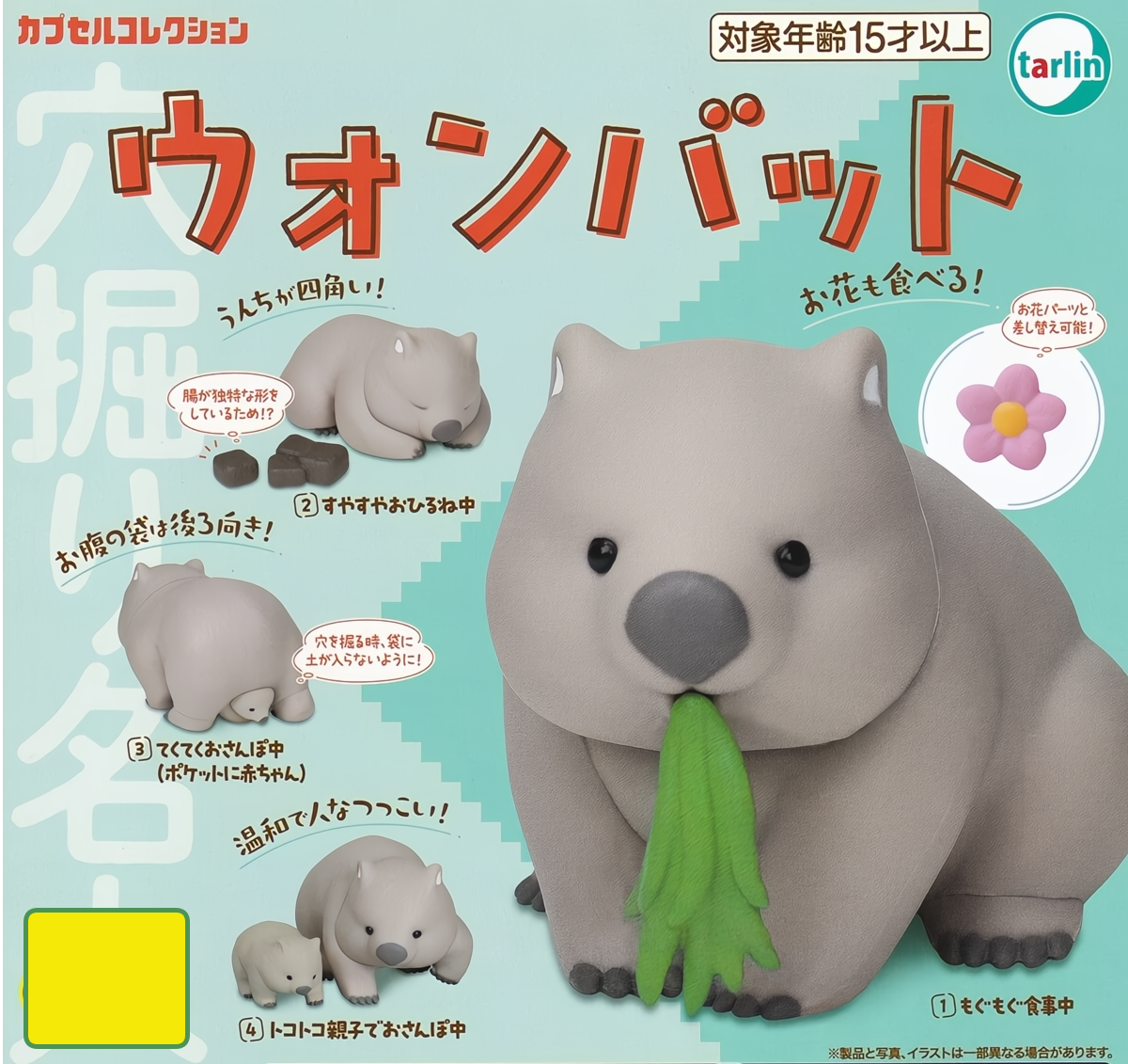 Tarlin International Wombat Animal Miniature 1 Random Gashapon Toy