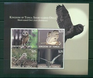 Tonga 2012 #CE6 MNH 2012 Owls Airmail sheet