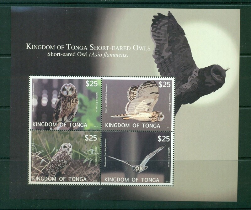 Tonga 2012 #CE6 MNH 2012 Owls Airmail sheet