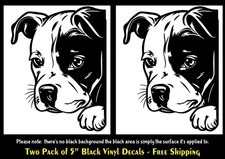 Pitbull Puppy Peeking Black Vinyl Decal Car Truck Window Tablet Notebook Laptop
