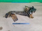 Carlton Radial Drill Cowhorn lever control arm — photo 2