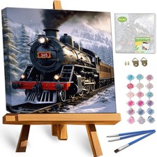 Framed Paint by Numbers Kit for Adults DIY Canvas Oil Painting Home Wall Decor