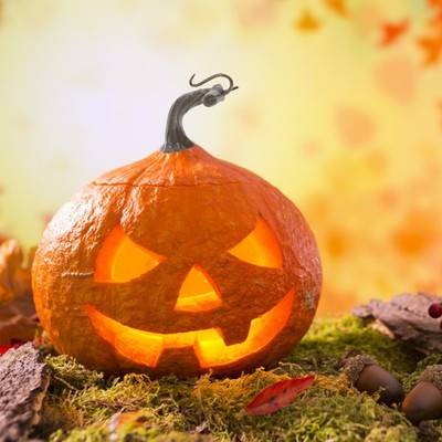 24pcs Halloween Pumpkin Stem Fake Pumpkin Stems Simulation Heads