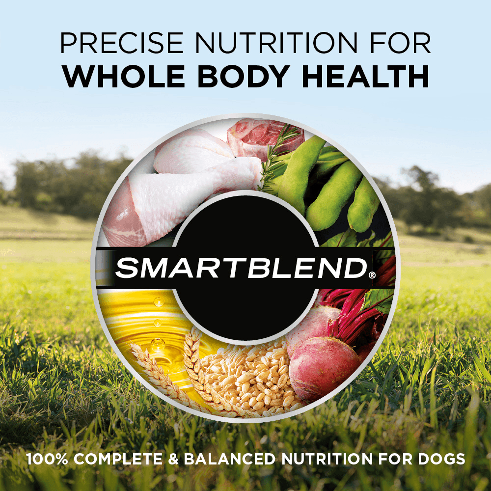 grain free supercoat