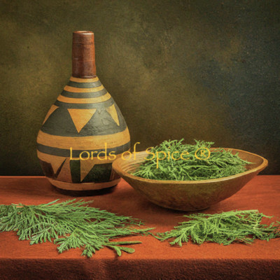 THUJA Leaf Dried ORGANIC Bulk Herb Thuja orientalis Folia USA