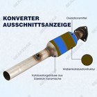 Bild 8 von 13