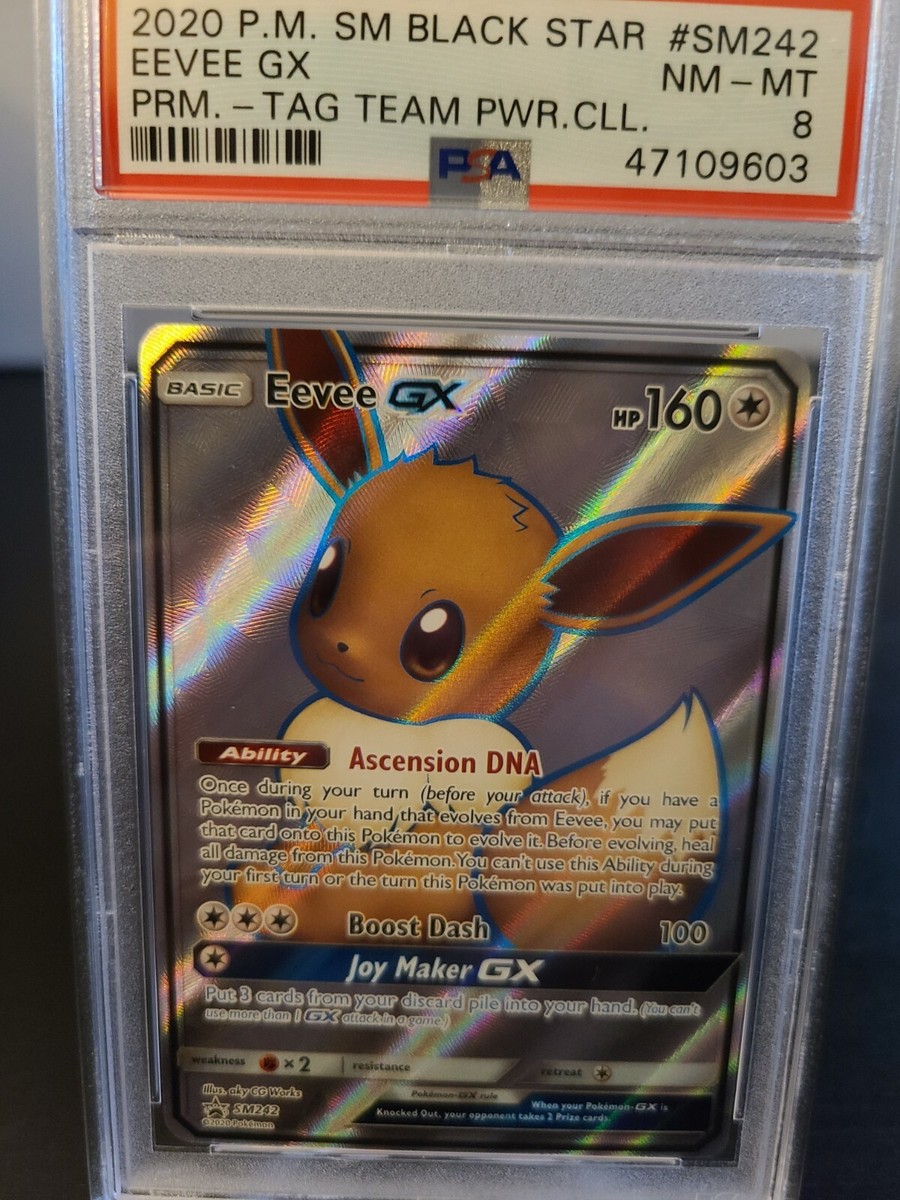 Pokemon Full Art Eevee GX SM242 PSA 8 Sun & Moon Promo Card