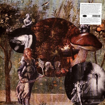 Native Harrow - Old Kind Of Magic (Vinyl LP - 2022 - EU - Original)