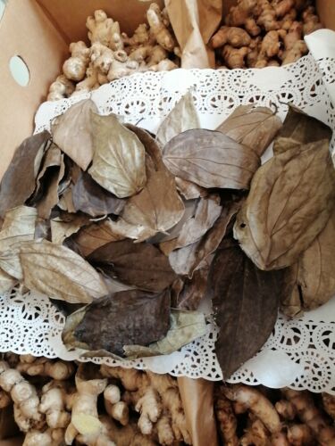 Schwarze Pfefferblätter getrocknet/Ingwer/Kurkuma wild angebaut karibischer Herkunft 300g Packung - Bild 1 von 12