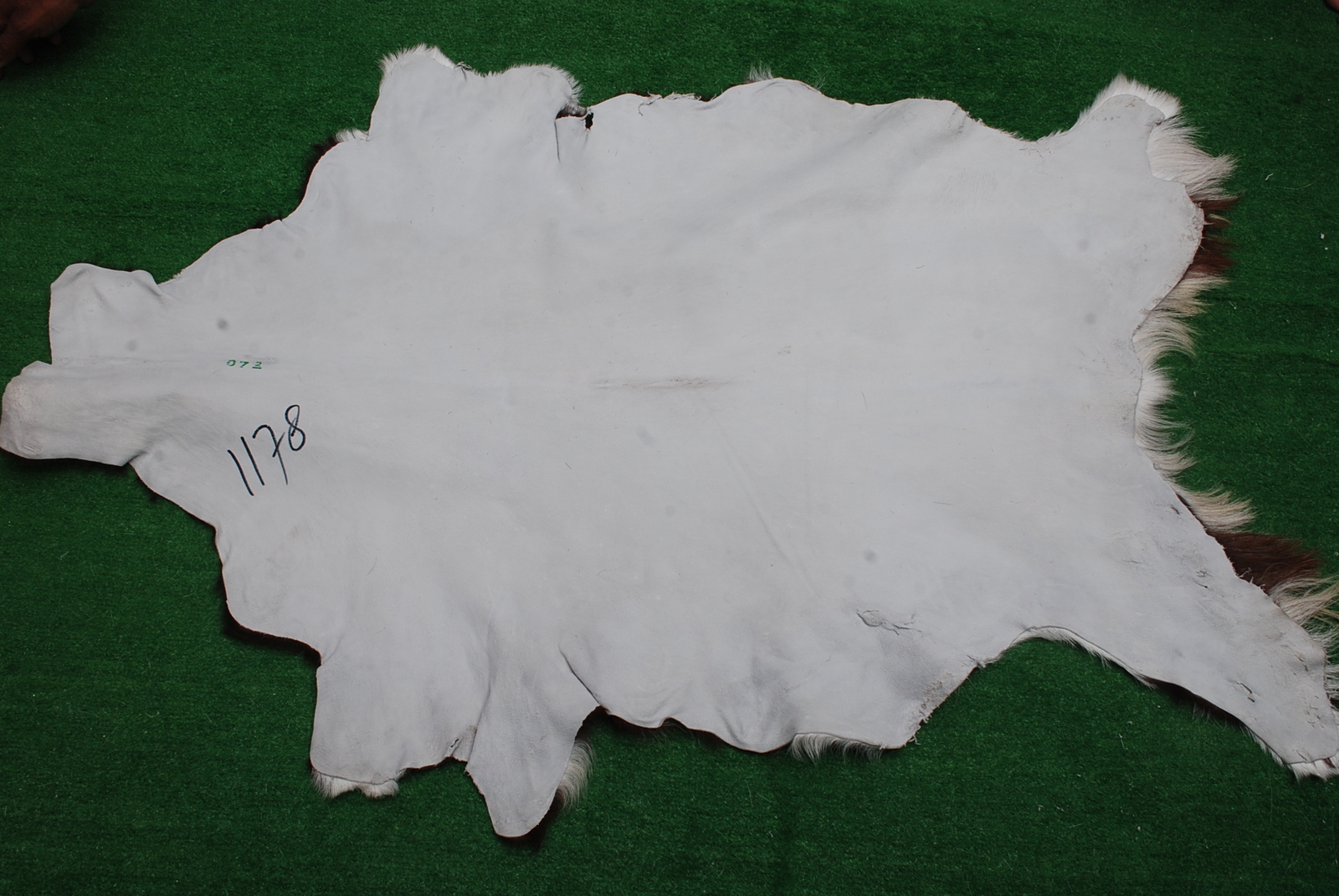 New Goat hide Rug Hair on Area Rug Size 36"x24" Animal Leather Goat