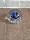 Collectible Handmade Glass Orb Paperweight Featuring An Internal Blue Flower 3" — photo 8