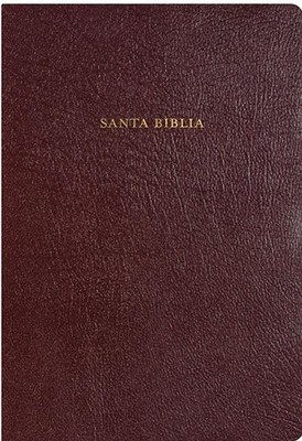 RVR 1960 BIBLIA DE ESTUDIO ARCO IRIS, BORGONA PIEL By B&h Espanol NEW