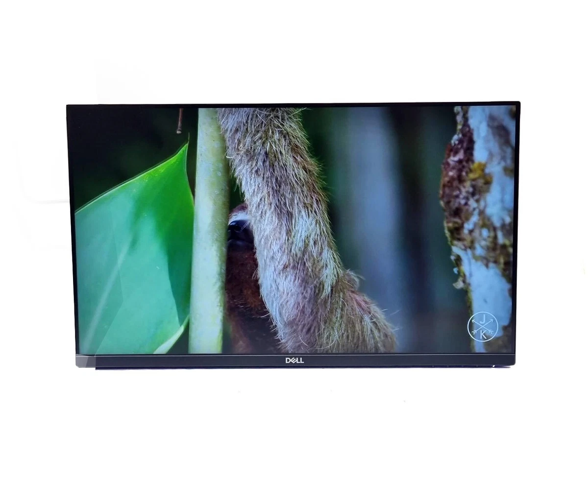 Dell 2024 p2419h monitor