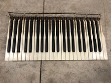 Vintage Organ Keys 44 Note 3.5 Octave Set MAKE OFFER Measures 24in x 12in