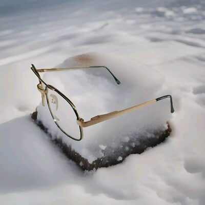 NEW EXCEPTIONAL EYEWEAR FRAME STAR 99646 GOLD/DEMI BLUE 47-16-125 RETAIL $100.00