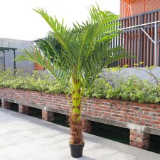 180cm 6ft Artificial Palm Tree Indoor Outdoor Fake Plant Faux Green Garden Tree