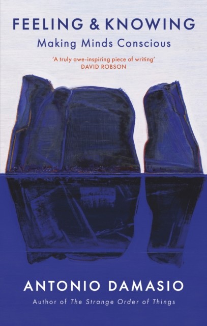 Feeling and Knowing Making Minds Conscious by Antonio Damasio (Paperback Book)