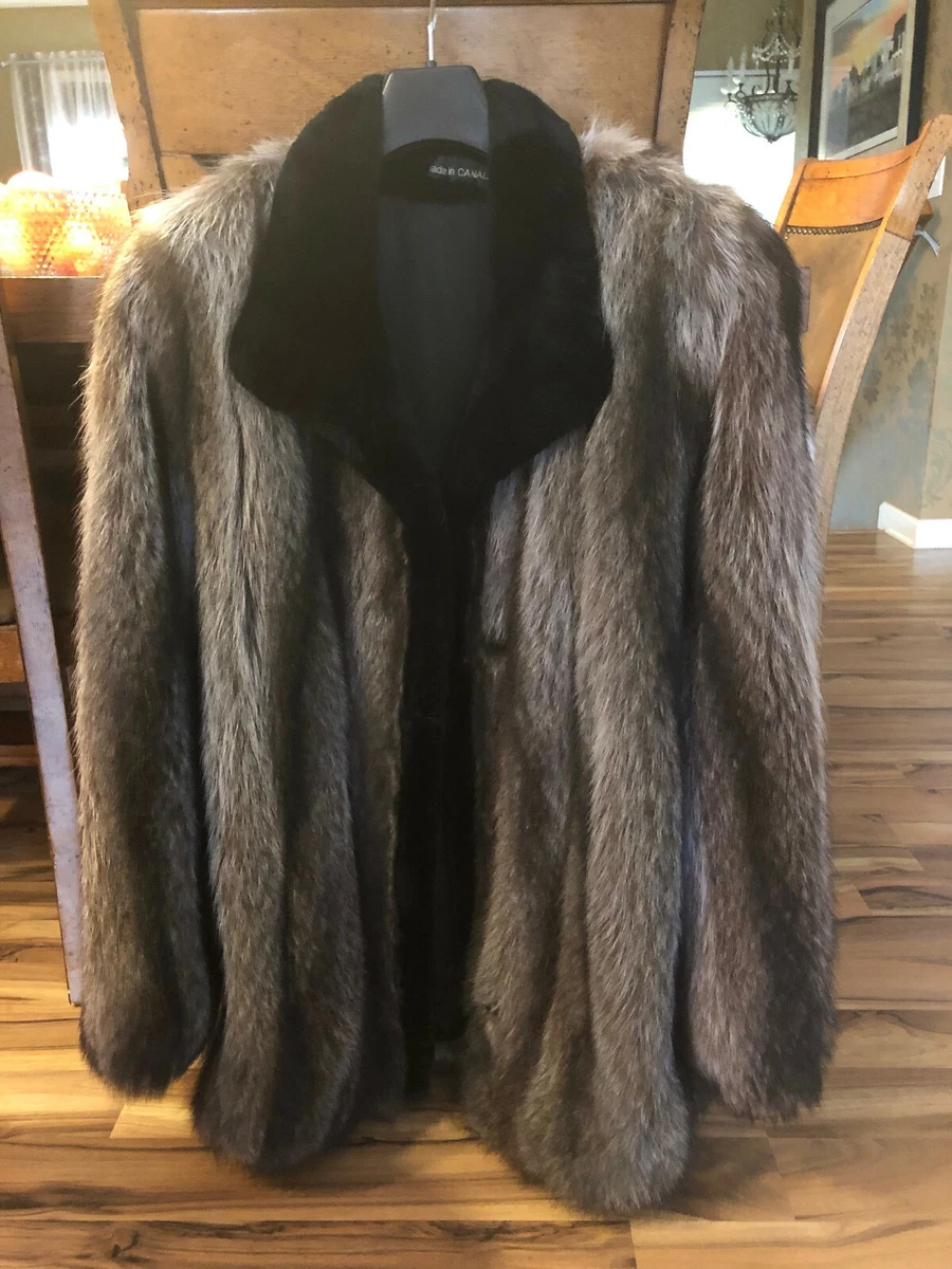 Manteau raton laveur sale