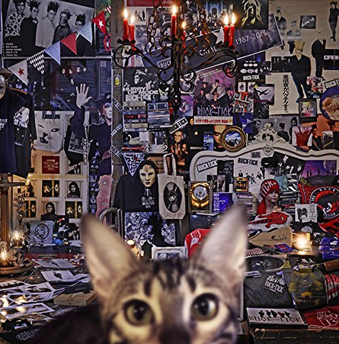 BUCK-TICK CATALOGE 1987-2016 CD regular edition 2SHM CD VICL